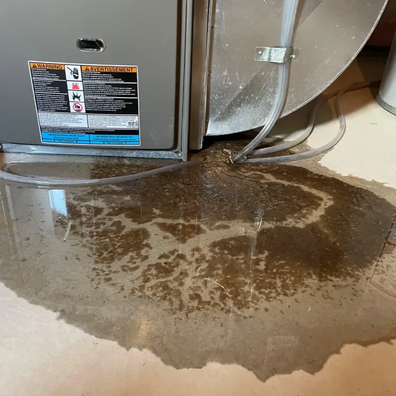 Appliance Leak Cleanup in Cordova, NC